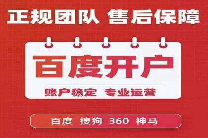 行业领先的SEM投放效果案例解析
